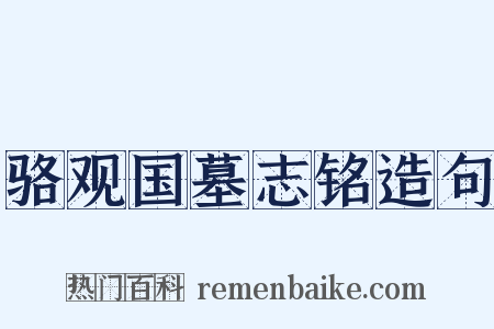 骆观国墓志铭造句是什么意思的图片